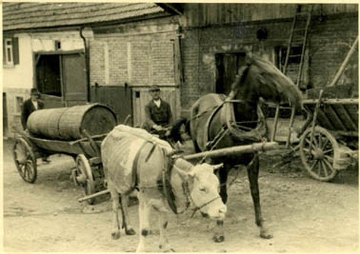 vater bilesch
