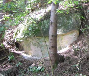 sandstein-i.d.hll-kl.jpg