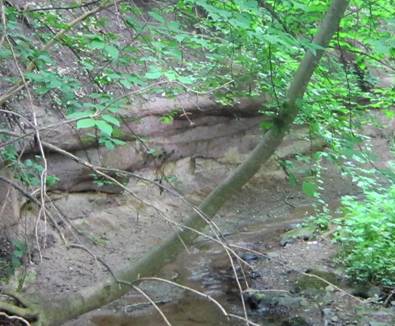 sandst-kueferbach-kl.jpg